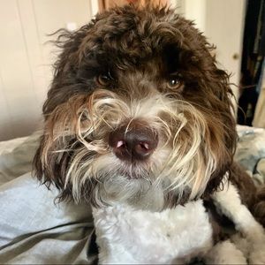 Meet your Posher, Wendy